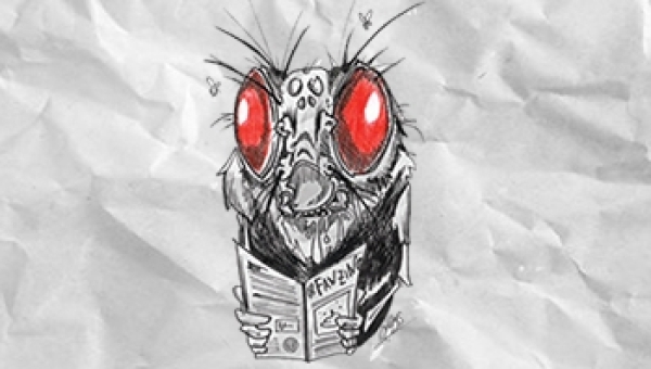 Scala di classificazione della merda (1° parte)